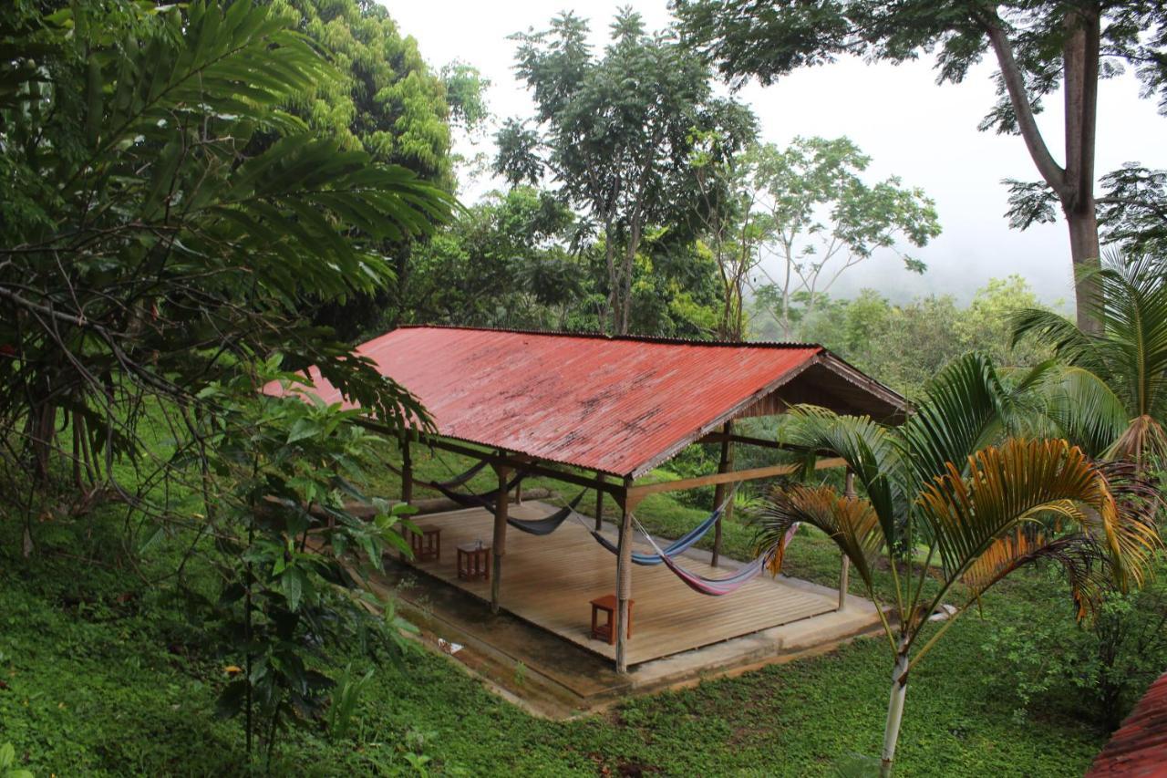 Cordillera Escalera Lodge Tarapoto Eksteriør billede