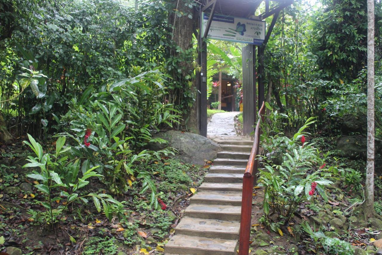 Cordillera Escalera Lodge Tarapoto Eksteriør billede