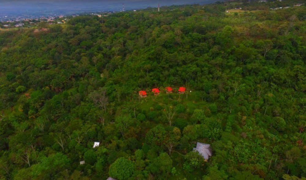 Cordillera Escalera Lodge Tarapoto Eksteriør billede